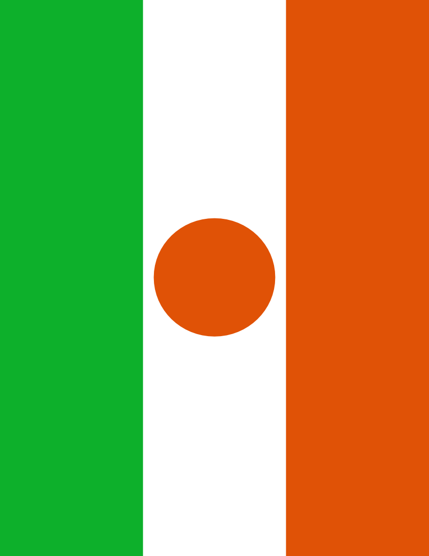 niger flag full page