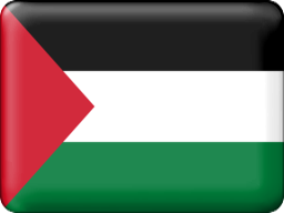 palestine button