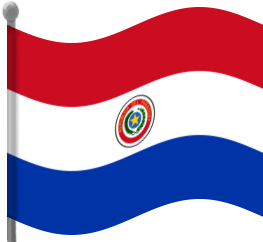 paraguay flag waving