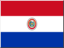 paraguay icon 64