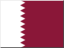 qatar icon 64