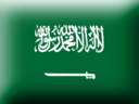 saudi arabia 3D