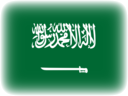 saudi arabia vignette