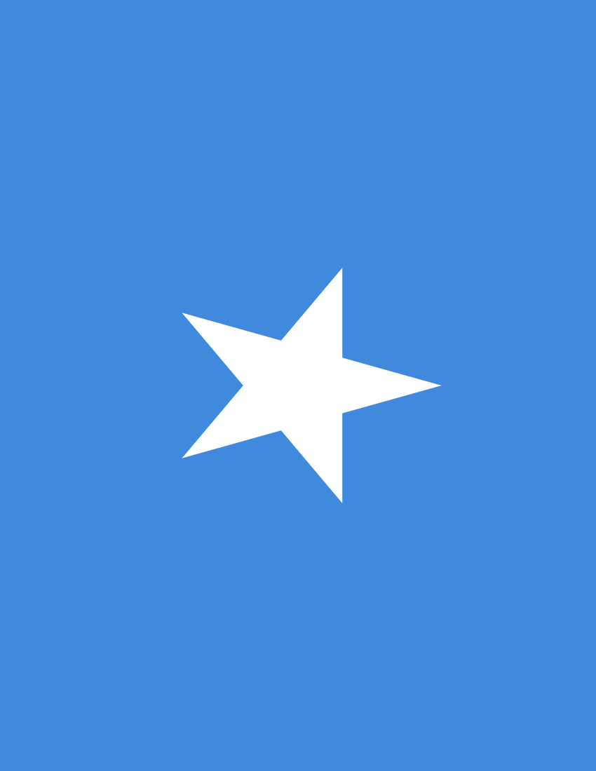 somalia flag full page