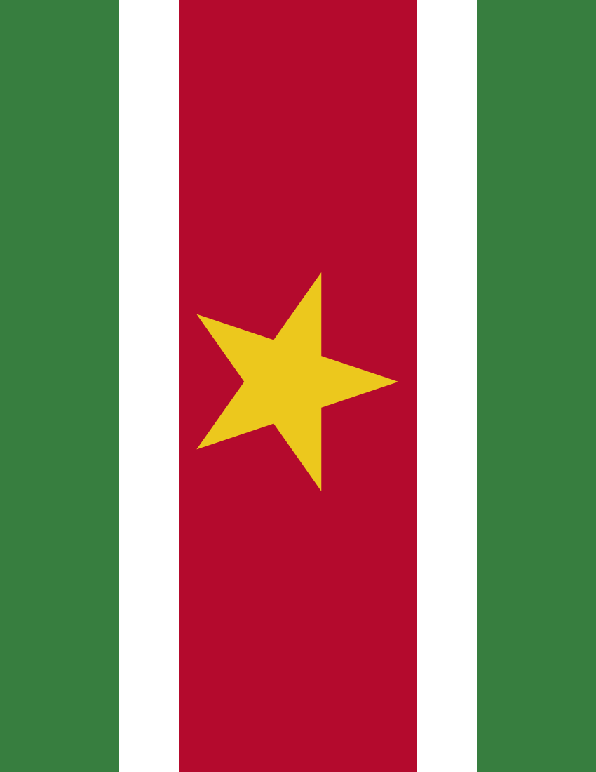 suriname flag full page