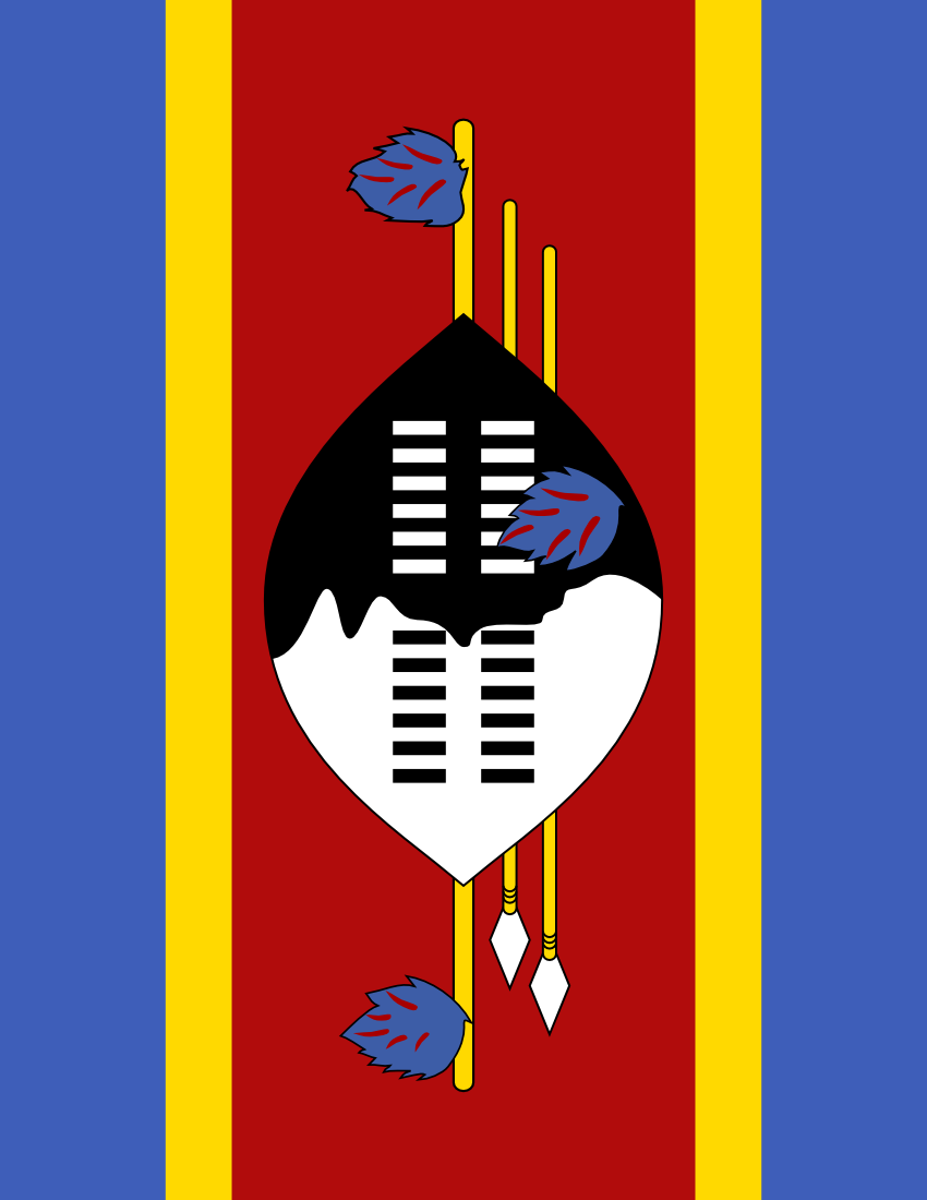 swaziland flag full page