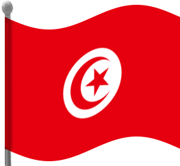tunisia flag waving