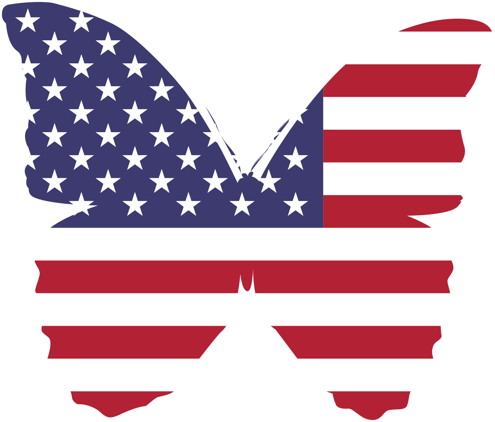 American butterfly