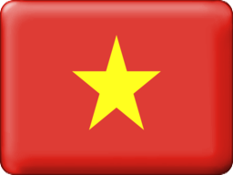 vietnam button