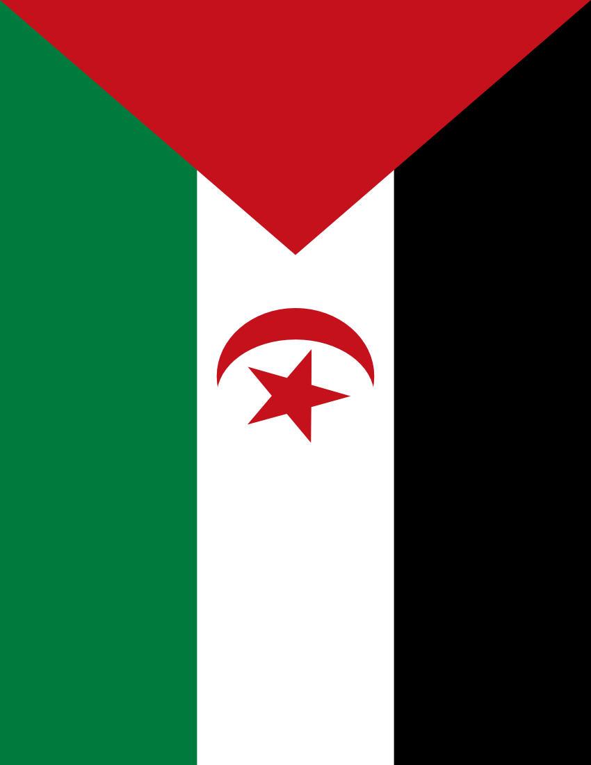 Western Sahara flag full page