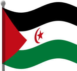 Western Sahara flag waving