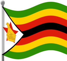 zimbabwe flag waving