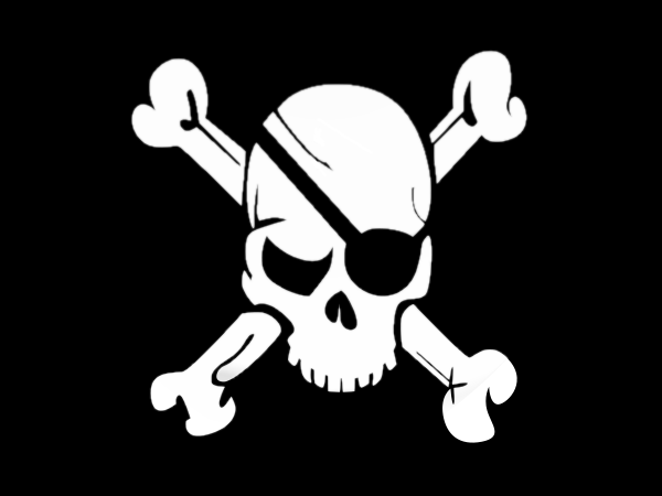 pirate flag skull bones patch