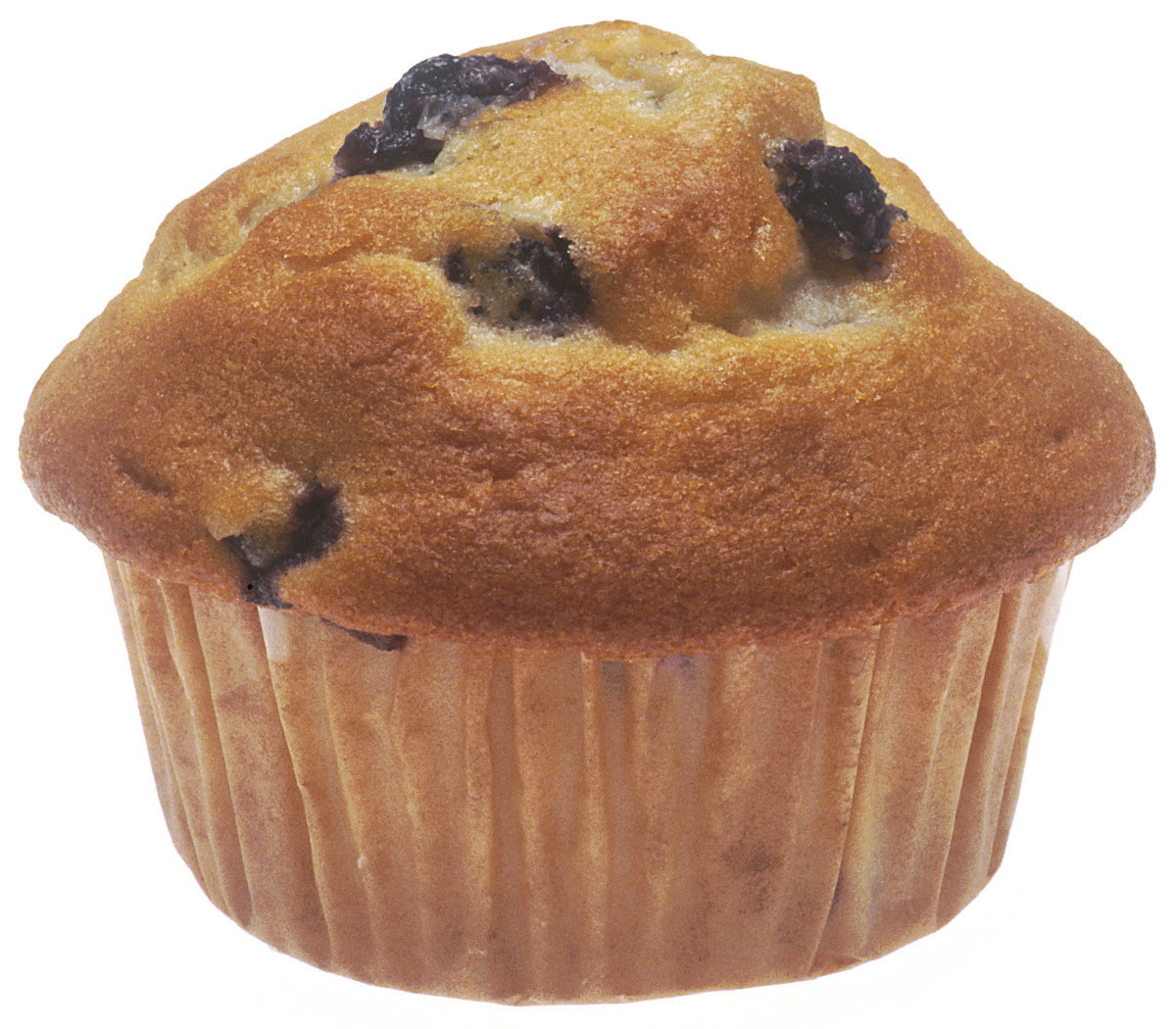 muffin large