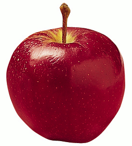 apple 7
