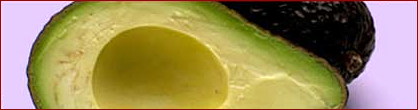 avocado banner
