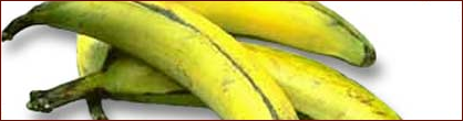 bananas banner