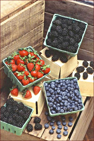 berries large