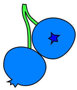 blueberries 1