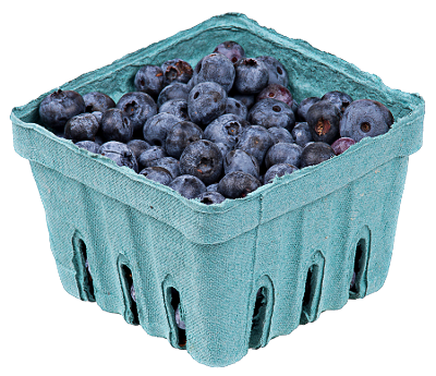 blueberries in pack small