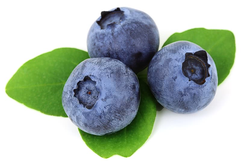 blueberries w leaves
