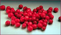 cranberries 2