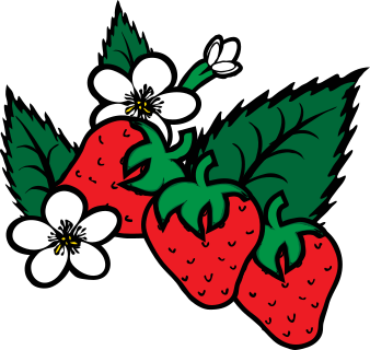 strawberries-on-plant