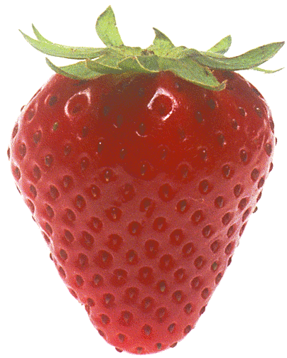 strawberry huge