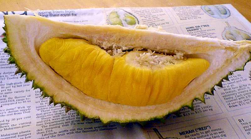 Durian pulp
