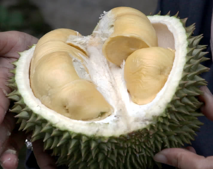 durian-split photo
