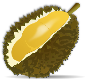 durian vector