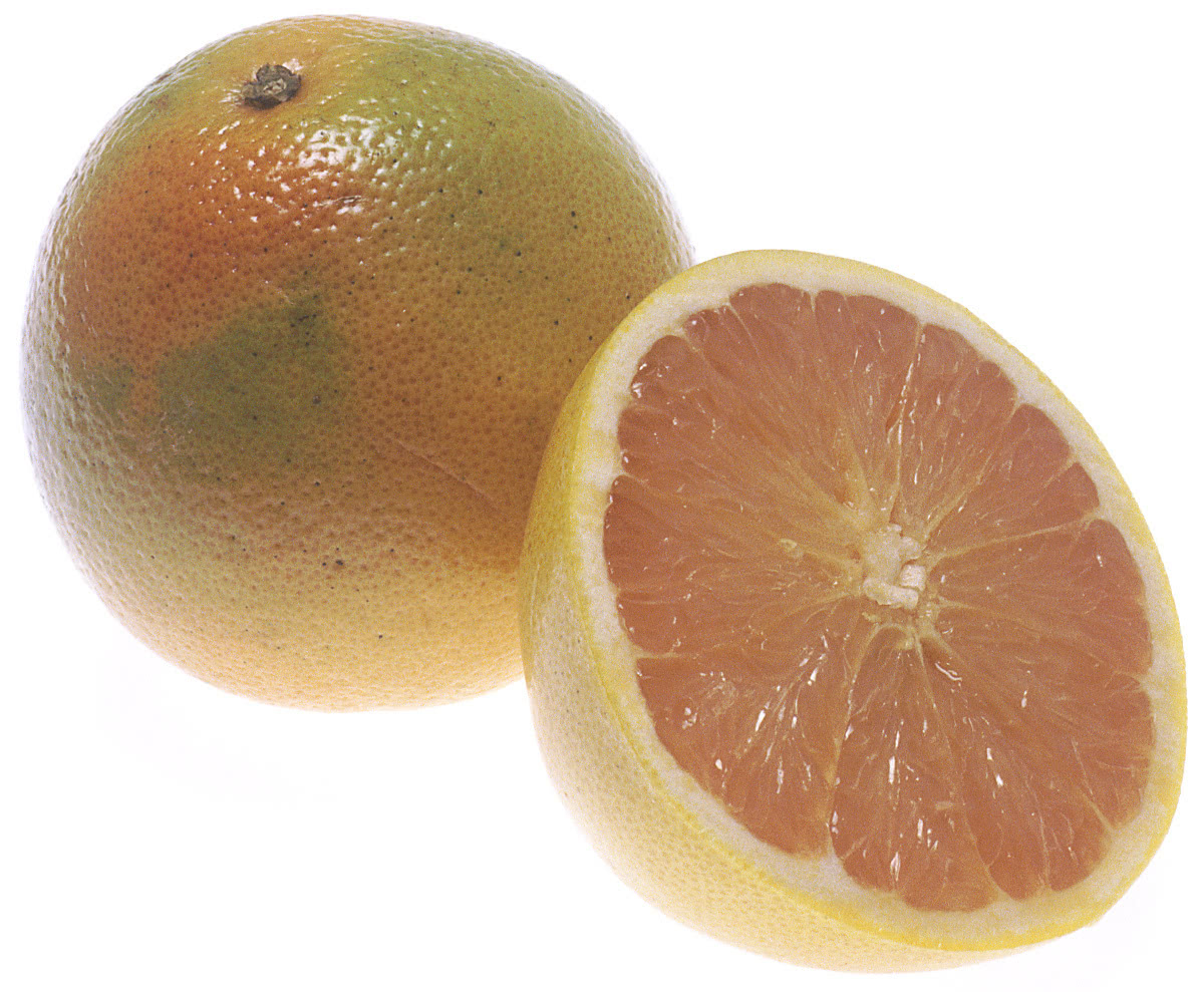grapefruit large