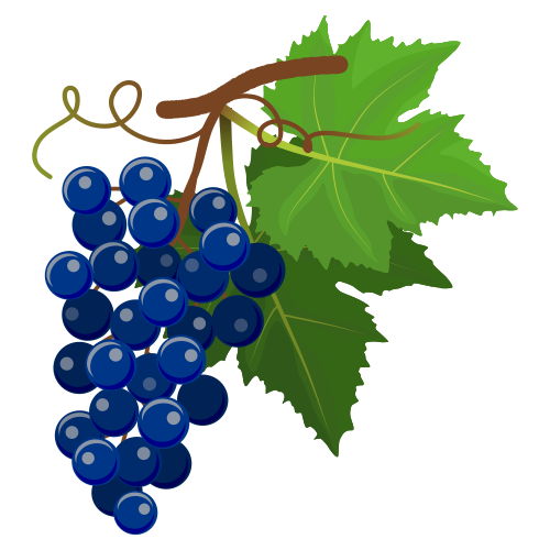 blue grapes n leaves