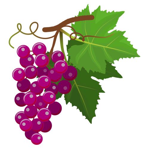 grapes n leaves