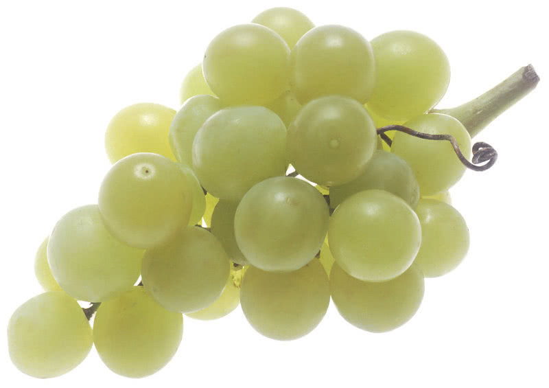 green grapes large