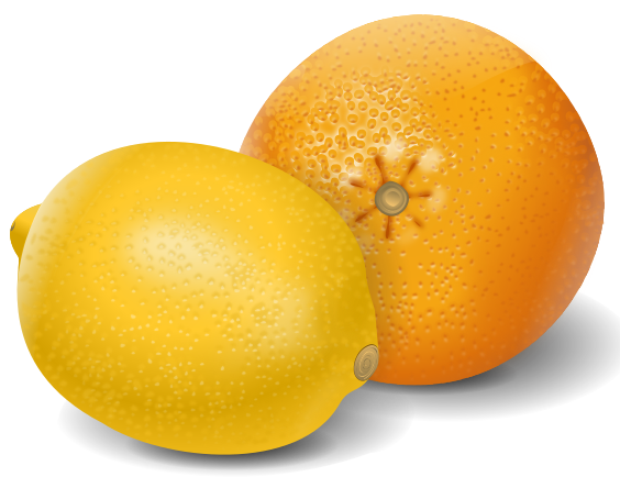 lemon orange vector