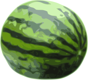 watermelon 2