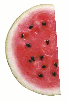 watermelon half slice