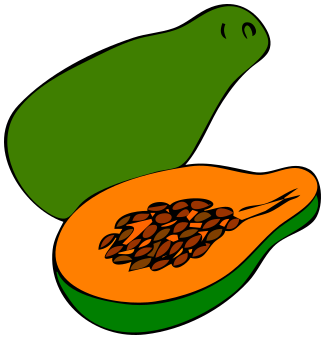 papaya clipart