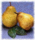 pear/