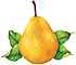 pear yellow bartlett