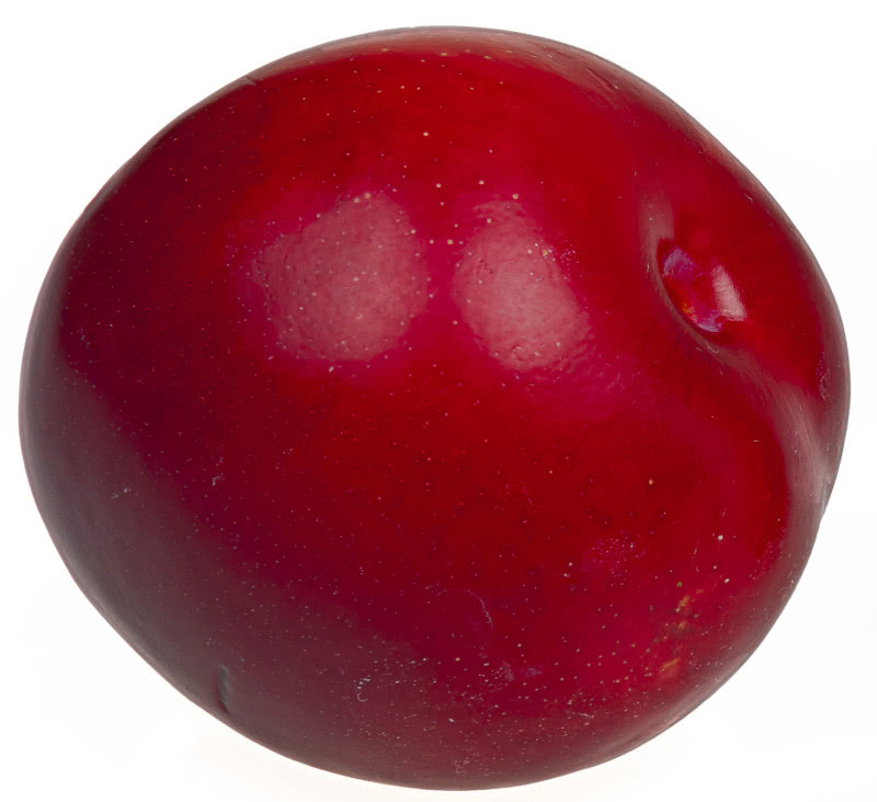 plum whole