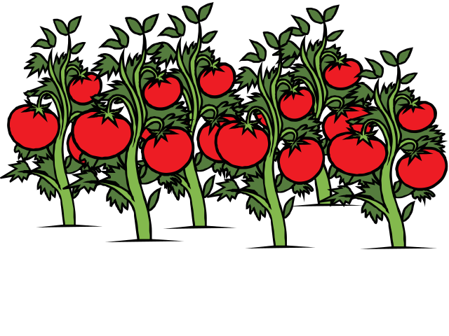 tomato-field-art