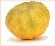 ugli fruit 2