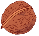 walnut 2