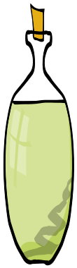 olive oil thin bottle