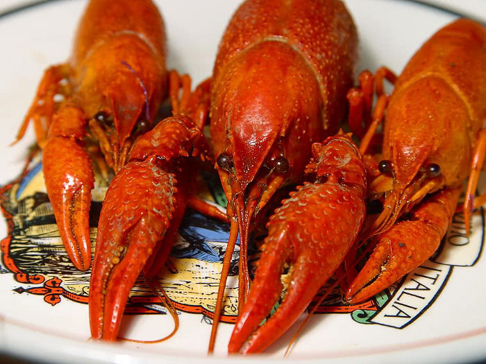 Boiled Crawdads crayfish