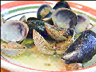clams/