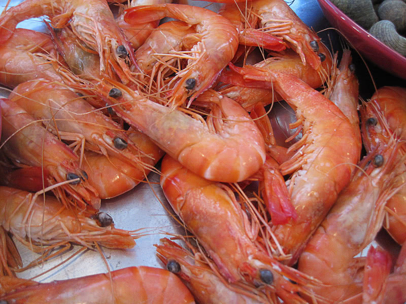 cooked shrimp prawns