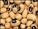 beans blackeye